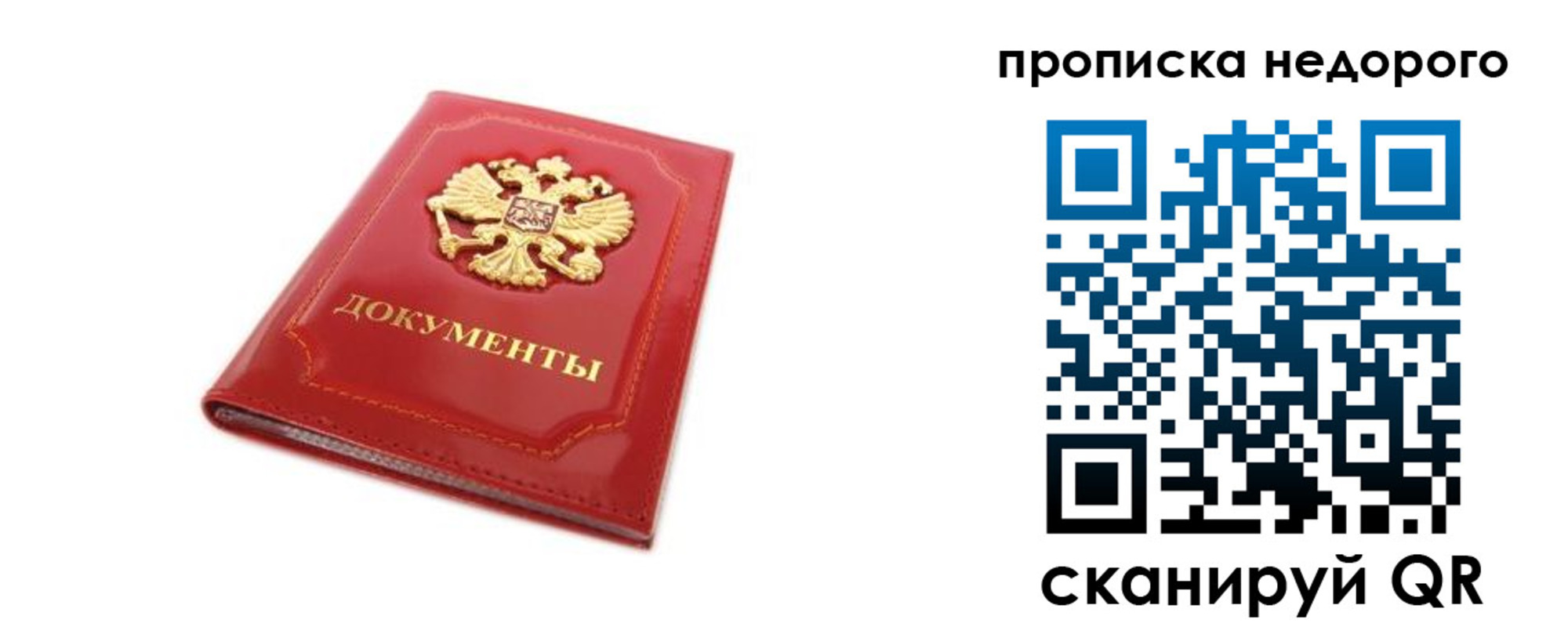 где прописаться в Курской области