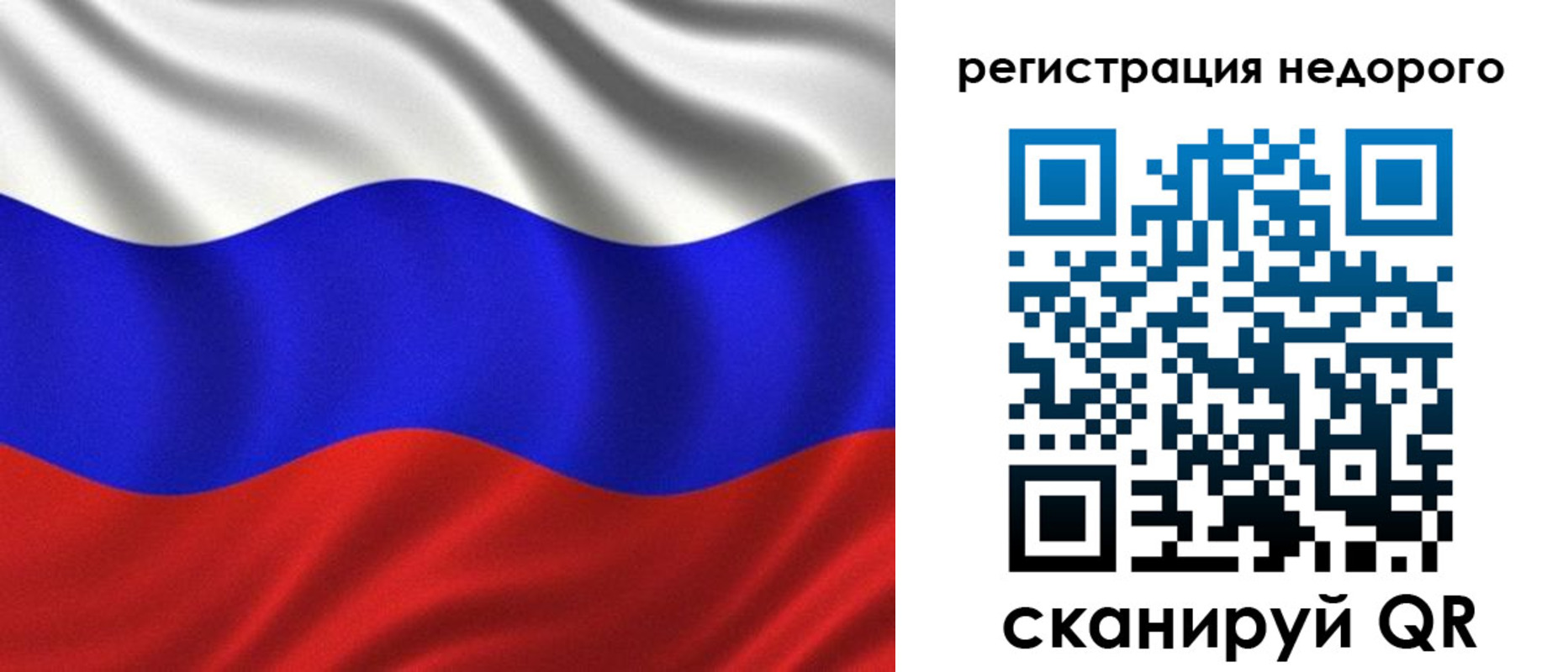 временная регистрация поиск в Курской области